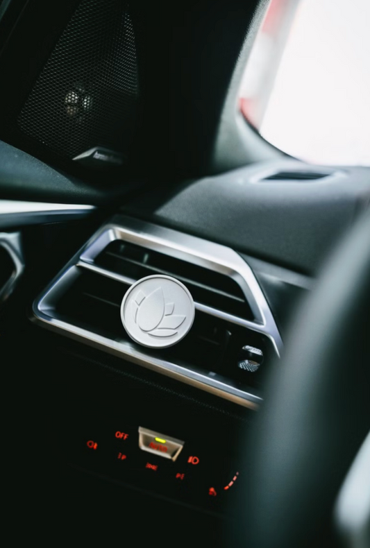 Nanolex Stone Perfume Diffusor